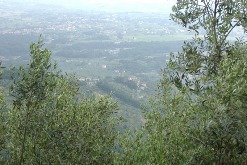 Podere Calistri Larciano Exteriér fotografie